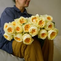 Antonia Gardens Roses! view 1