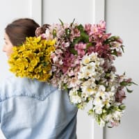 Big Box: Alstroemeria view 2