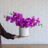 Back to the Fuchsia view 8