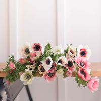 Specialty Field Trial Anemones: Warm Palette x 2! view 5