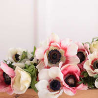 Specialty Field Trial Anemones: Warm Palette view 4
