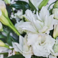 The Hand-Tied Minimalist Bouquet view 9