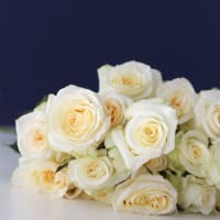 Mystery Box: Garden Roses x 2! view 9