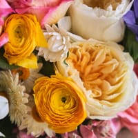 With Heart: Love Thy Neighbor - Big Love Size view 9