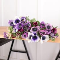 Specialty Field Trial Anemones: Cool Palette x 2! view 7