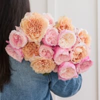 I Can't Believe They Aren't Peonies X 2! view 4