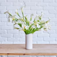 More White Callas view 1