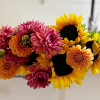 Harvest Swoon view 7