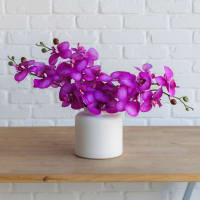 Back to the Fuchsia view 5