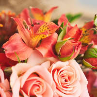 Hand Tied Bouquet - Fancy Pants Size! view 5