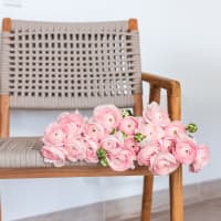 Christina's Favorite Specialty Ranunculus! view 5