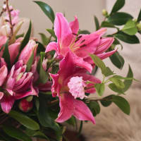 Scents and Sensibility view 9