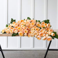 Big Box: Juliet Garden Roses view 3