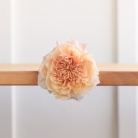 I Can't Believe They Aren't Peonies X 2! view 7