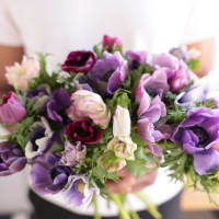 Specialty Field Trial Anemones: Cool Palette x 2! view 8