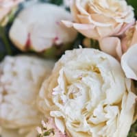 Mini Minimalist Bouquet with Peonies! view 2
