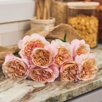 Christina's Favorite Garden Roses view 2