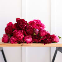 Red-Handed: 20 Peonies view 6