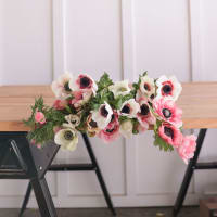 Specialty Field Trial Anemones: Warm Palette x 2! view 3