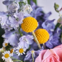 With Heart: Love Thy Neighbor - Fun Size view 7