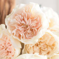 Christina's Wedding Roses view 3