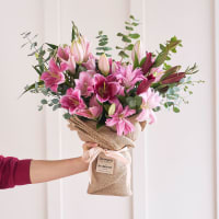 Scents and Sensibility view 3