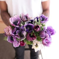 Specialty Field Trial Anemones: Cool Palette view 6