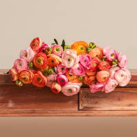 With Heart: Every Mother Counts Ranunculus - 40 stems! view 2