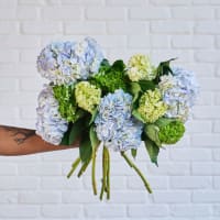 With Heart: Love Thy Neighbor Hydrangeas view 4