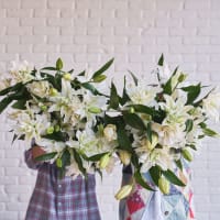 More White Roselilies view 4