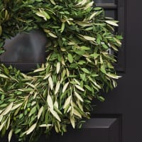 Wildest Greens Wreath view 4