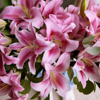 Scents and Sensibility view 5