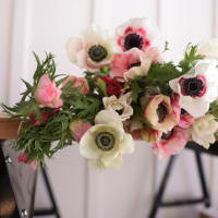 Specialty Field Trial Anemones: Warm Palette x 2! view 1