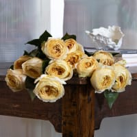 Mystery Box: Garden Roses! view 10