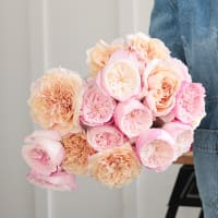 I Can't Believe They Aren't Peonies X 2! view 3