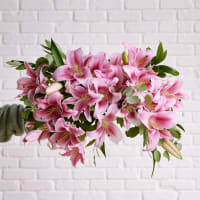 Scents and Sensibility view 7