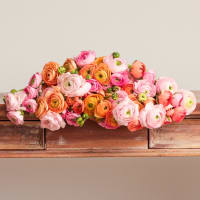 With Heart: Every Mother Counts Ranunculus - 60 stems! view 1