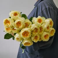 Antonia Gardens Roses! view 5
