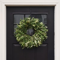 Wildest Greens Wreath view 2
