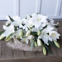 Carte Blanche view 7