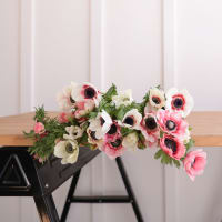 Specialty Field Trial Anemones: Warm Palette x 2! view 8