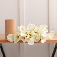 White Callas view 7
