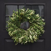 Wildest Greens Wreath view 5