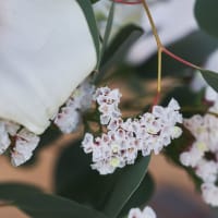 The Hand-Tied Minimalist Bouquet view 4