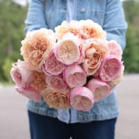 I Can't Believe They Aren't Peonies X 2! view 1