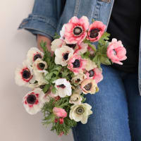 Specialty Field Trial Anemones: Warm Palette x 2! view 2