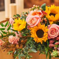 Suns and Roses - Just Right Size! view 6