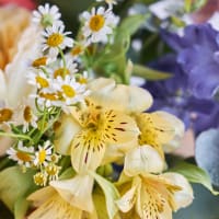 With Heart: Love Thy Neighbor - Fun Size view 3