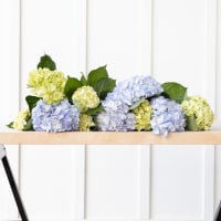 With Heart: Love Thy Neighbor Hydrangeas view 8
