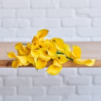 Yellow Callas view 6